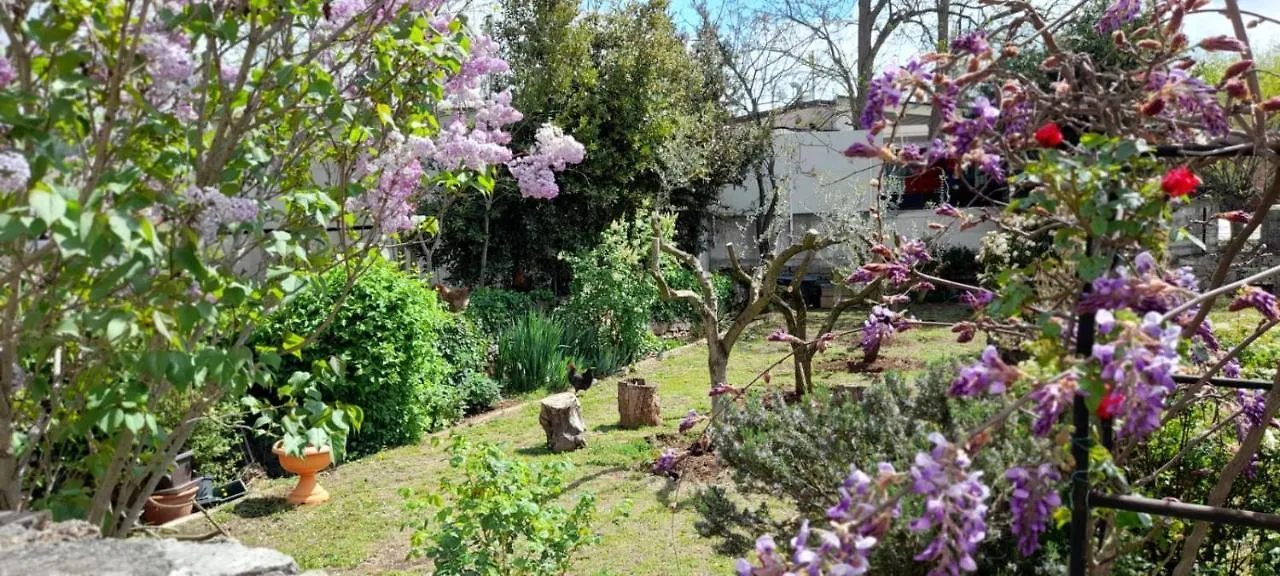 Apartment Apartman Mili Pula Croatia